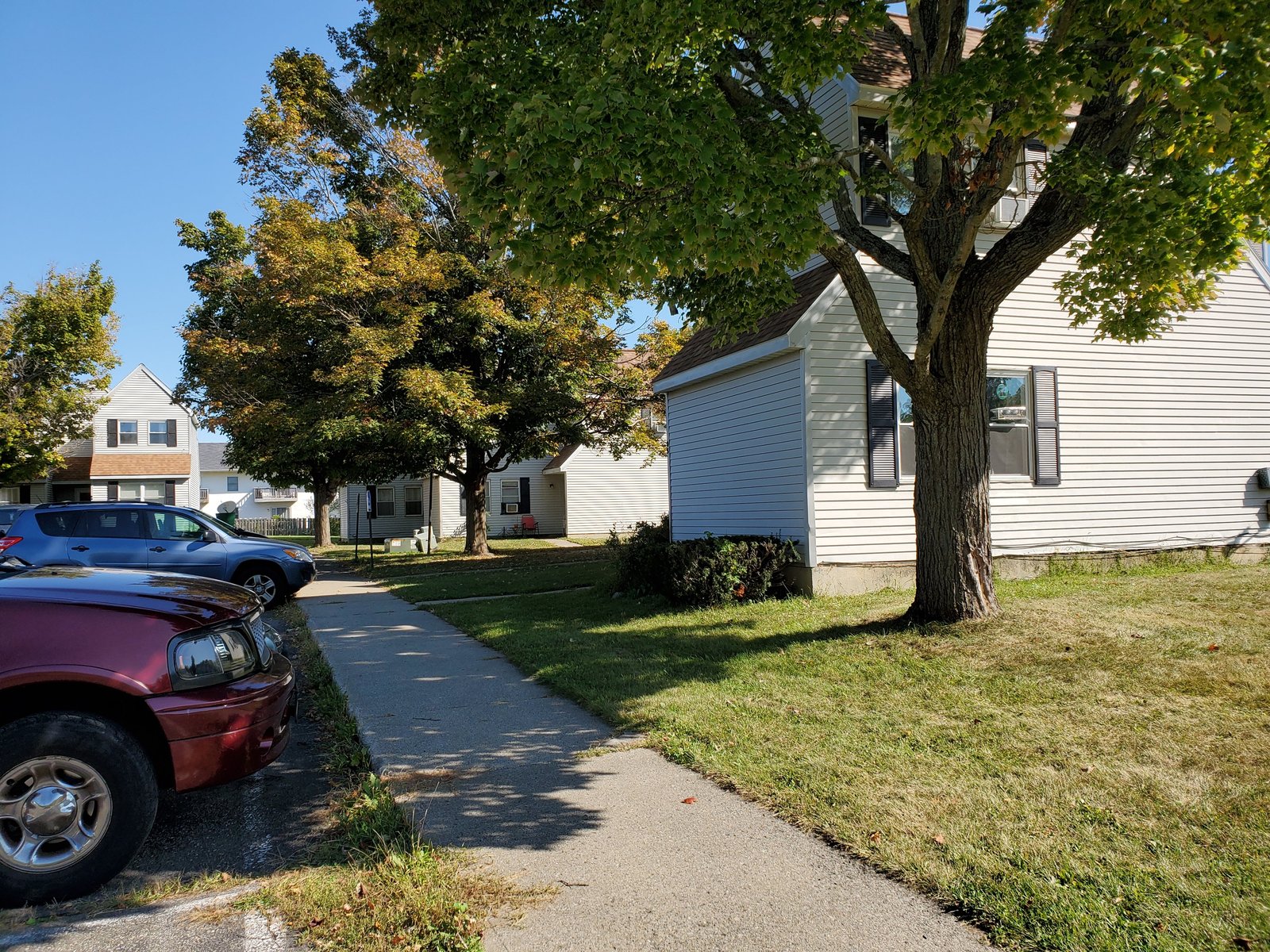 Tree-Lined Community Walkway