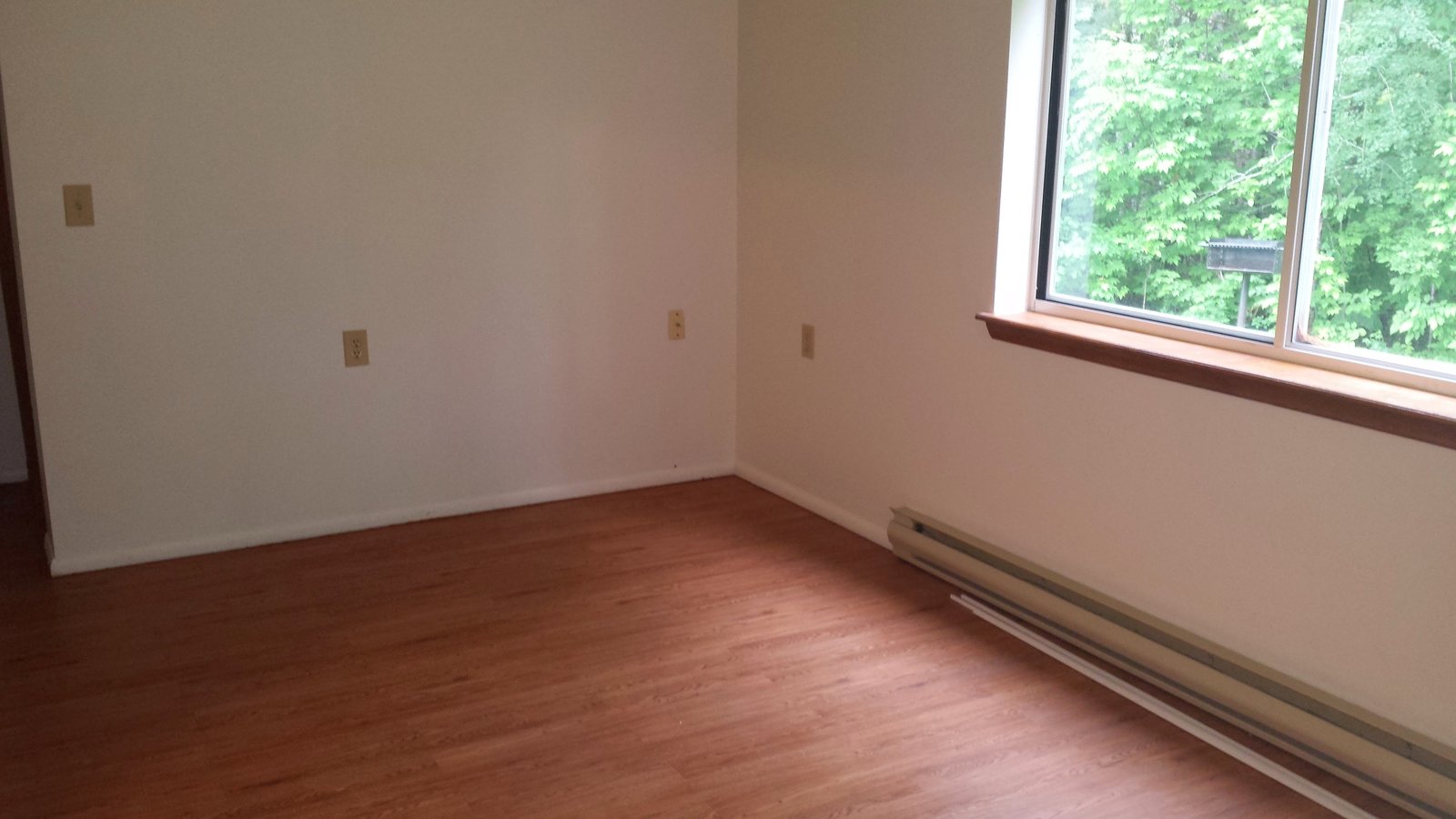 Living Room with Picture Window