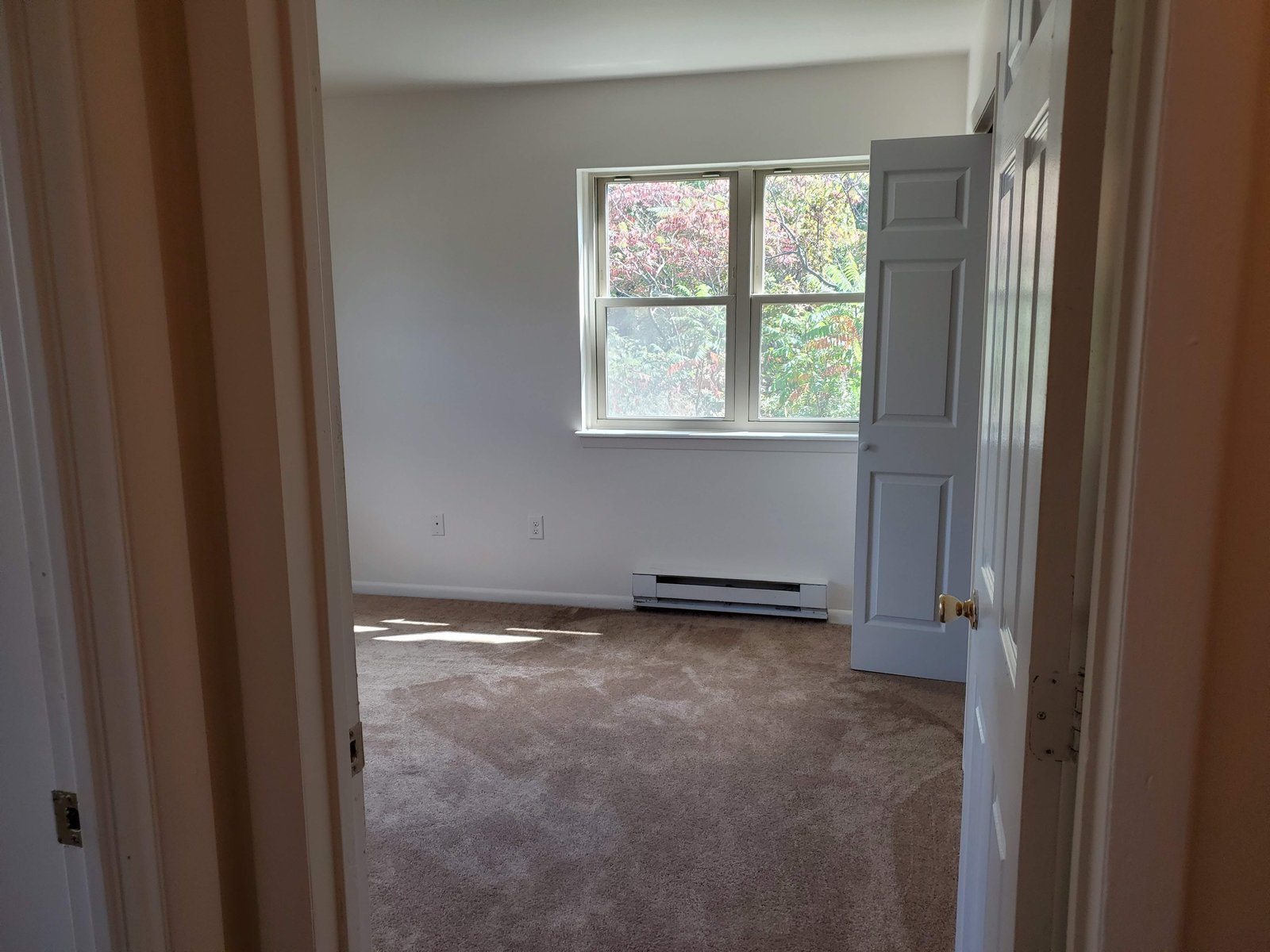 Bright Carpeted Bedroom