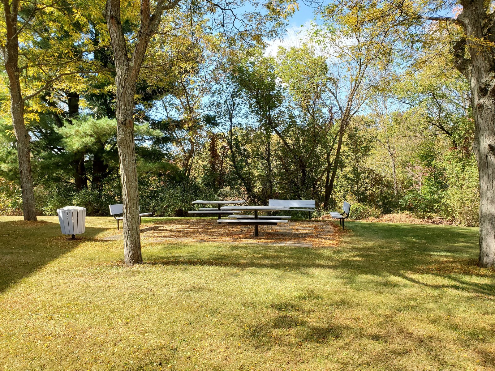 Park-Like Courtyard & Lawn